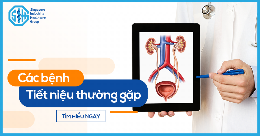 Những bệnh tiết niệu thường gặp