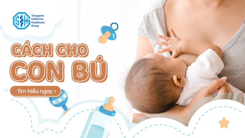 CÁCH CHO CON BÚ