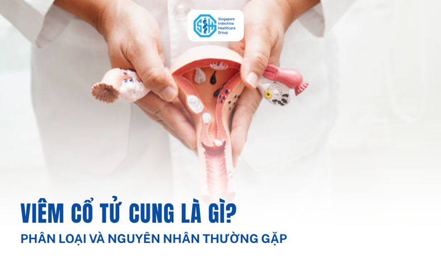 Viêm cổ tử cung là gì? Phân loại và nguyên nhân thường gặp