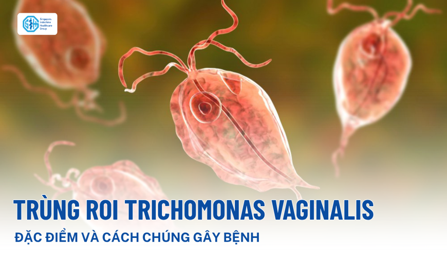 Trùng roi Trichomonas vaginalis: Đặc điểm, cách gây bệnh và môi trường phát triển
