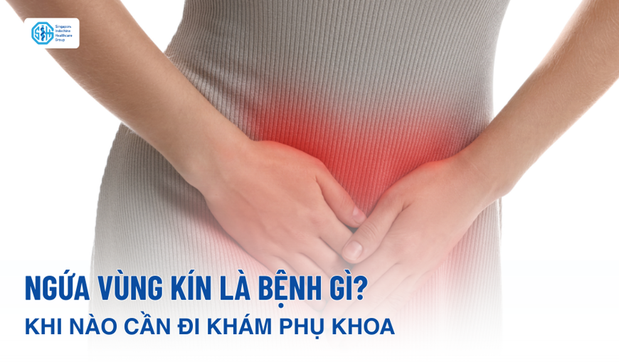 Ngứa vùng kín kéo dài: Nguyên nhân và các bệnh thường gặp
