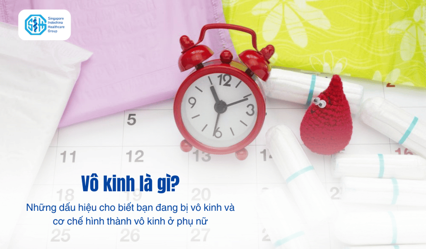 Vô kinh là gì? Những dấu hiệu cho biết bạn đang bị vô kinh và cơ chế hình thành vô kinh ở phụ nữ