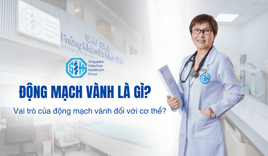 Động mạch vành là gì? Vai trò của động mạch vành đối với cơ thể?
