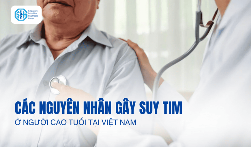 Nguyên Nhân Gây Suy Tim Thường Gặp Ở Người Cao Tuổi Việt Nam