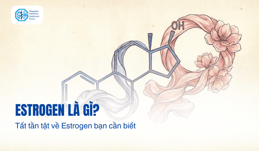 Estrogen là gì? Tất tần tật về nhựa sống của phái đẹp và sức khỏe sinh sản