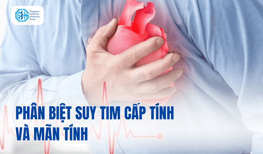 Suy tim cấp và suy tim mãn khác nhau như thế nào? Cách phân biệt và mức độ nguy hiểm