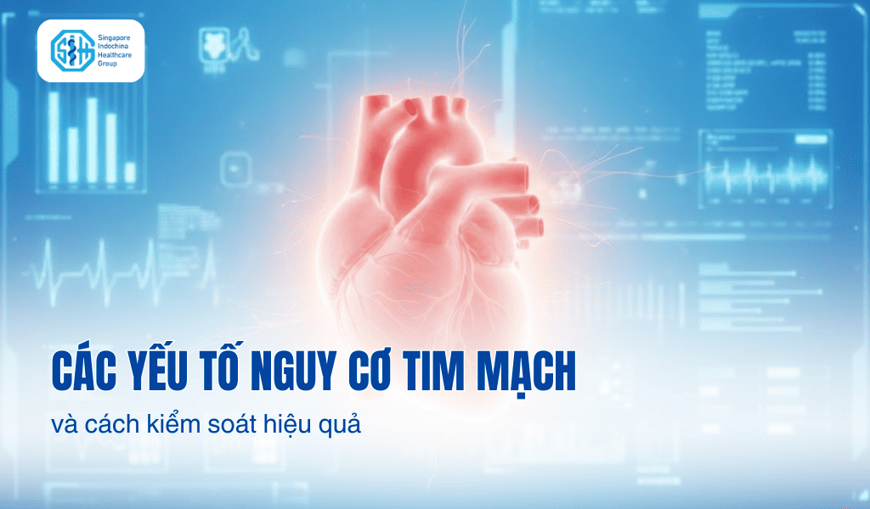 Các yếu tố nguy cơ bệnh tim mạch và cách kiểm soát hiệu quả