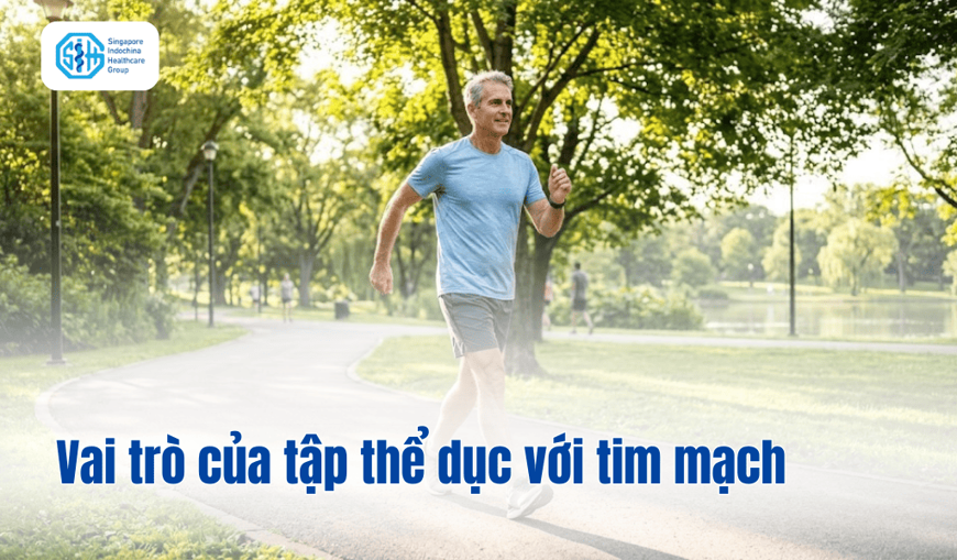 Vai Trò Của Tập Thể Dục Trong Phòng Ngừa Bệnh Tim Mạch