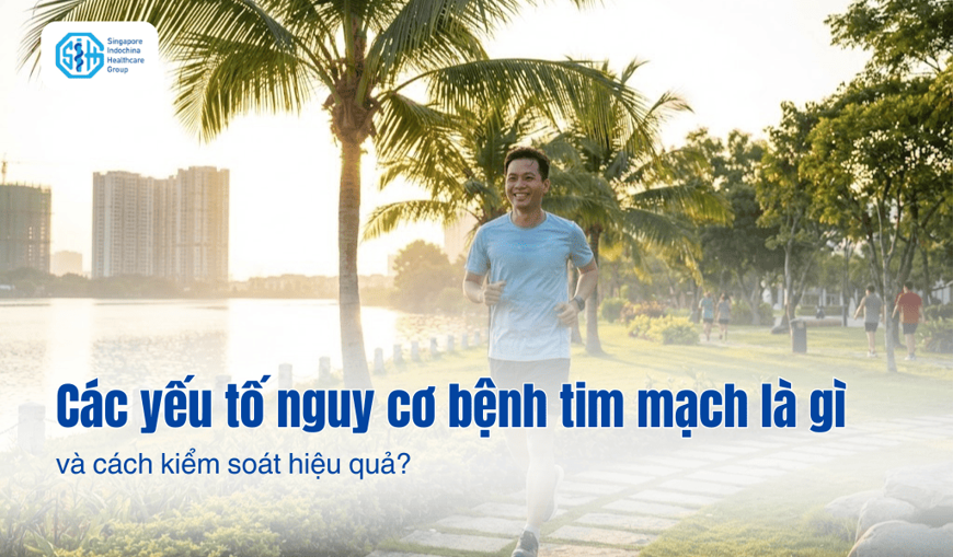 Các yếu tố nguy cơ bệnh tim mạch là gì và cách kiểm soát hiệu quả?