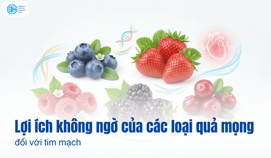 Lợi ích không ngờ của các loại quả mọng đối với sức khỏe tim mạch.