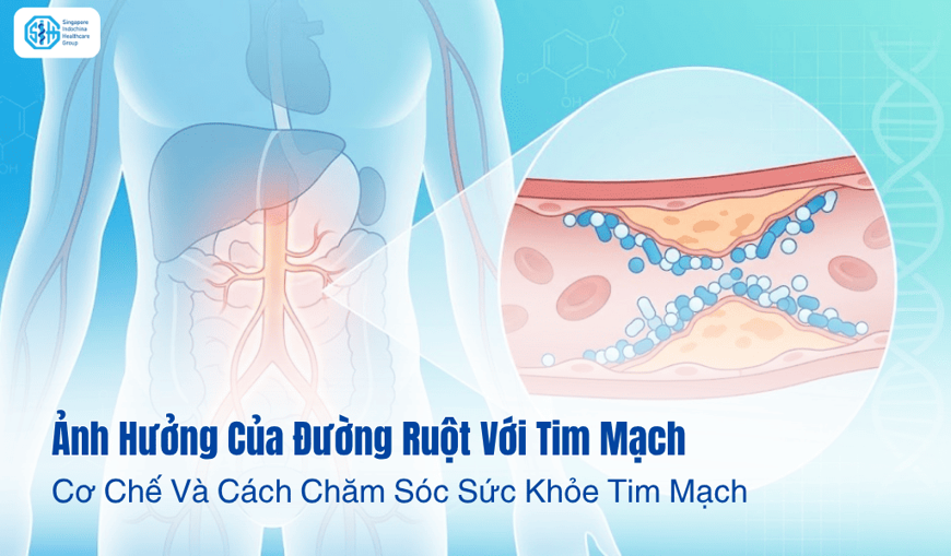 Ảnh Hưởng Của Đường Ruột Với Tim Mạch: Cơ Chế Và Cách Chăm Sóc Sức Khỏe Tim Mạch