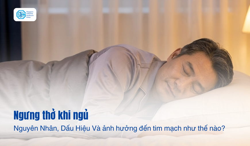 Ngưng Thở Khi Ngủ: Nguyên Nhân, Dấu Hiệu Và ảnh hưởng đến tim mạch như thế nào?