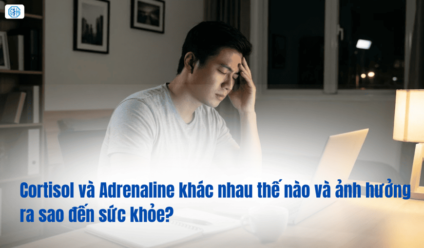 Cortisol và adrenaline khác nhau thế nào và ảnh hưởng ra sao đến sức khỏe?