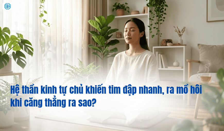 Hệ thần kinh tự chủ khiến tim đập nhanh, ra mồ hôi khi căng thẳng ra sao?