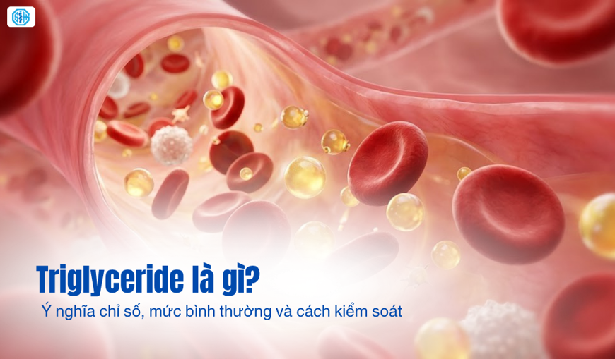 Triglyceride là gì? Mức bình thường, nguyên nhân và cách kiểm soát